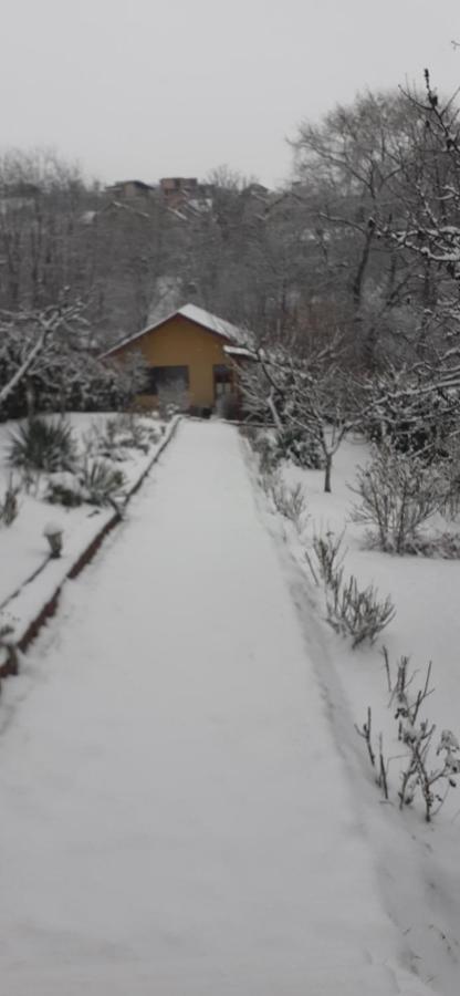 Pensiunea Lucia Ana Kaloşvar Dış mekan fotoğraf